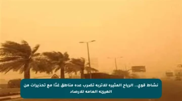 نشاط قوي.. الرياح المثيرة للأتربة تضرب عدة مناطق غدًا مع تحذيرات من الهيئة العامة للأرصاد